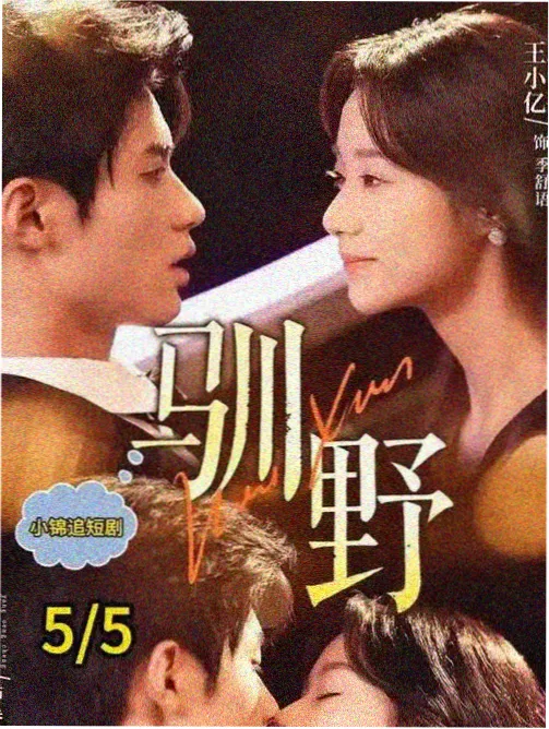 权臣归来